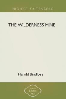 The Wilderness Mine