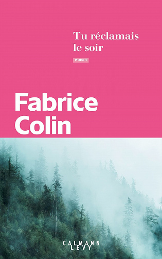 Tu réclamais le soir – Fabrice Colin (2022)
