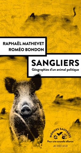 Sangliers, géographies d’un animal politique – Raphaël Mathevet, Roméo Bondon (2022)